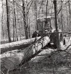 2400-10690- Skidding Sawlogs Tractor - Davy Crockett National Forest 1969