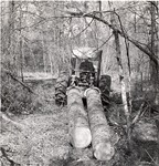 2400-10692- Log Skidding Tractor - Davy Crockett National Forest by United States Forest Service