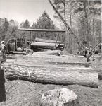 2400-10693 Loading Sawlogs - Davy Crockett National Forest 1969 by United States Forest Service