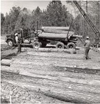 2400-10694 Loading Sawlogs - Davy Crockett National Forest by United States Forest Service