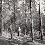 2400-10698 Loblolly Stand Thinned - Davy Crockett National Forest 1969 by United States Forest Service