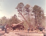 2400-10726 Loading Sawlogs - Davy Crockett National Forest 1969 by United States Forest Service