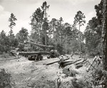 2400-514987 Skidding Loading - Davy Crockett National Forest 1966 by United States Forest Service