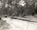 2400-515975 Skidding Loading - Davy Crockett Forest Service 1966 by United States Forest Service
