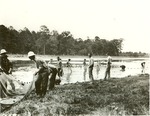 2600-406548 Counting Fish Ratcliff - Davy Crockett National Forest 1939