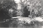 2500-06 Boykin Creek - Angelina National Forest