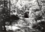 2500-07 Boykin Creek - Angelina National Forest