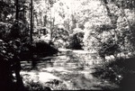2500-08 Boykin Creek - Angelina National Forest