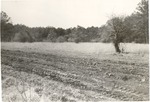 2500-18 Blackland Fields - Sam Houston National Forest 1976 by United States Forest Service