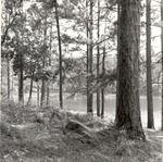 2500-22 Boykin Lake - Angelina National Forest 1986 by United States Forest Service