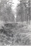 2500-24 Little Lake Creek Erosion - Sam Houston National Forest 1976