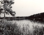 2500-28 Ratcliff Lake - Davy Crockett National Forest 1960