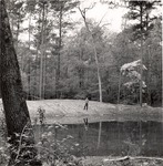 2500-10725 Water Hole - Sam Houston National Forest 1969 by United States Forest Service