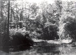 2500 H-18 Boykin Creek - Angelina National Forest