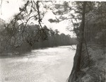 2500 T64-179 Sabine River East Hamilton Scenic Area - Sabine National Forest 1951