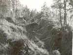 2500 T64-323 Old HWY 63 Erosion - Angelina National Forest 1960