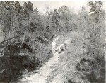 2500 T64-333 Soil Erosion - Sabine National Forest 1960 by United States Forest Service