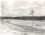 2500 T64-338 Barium Pit Lake - Angelina National Forest 1961 by United States Forest Service