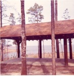 2500 T67-25 Letney Rec Area - Angelina National Forest 1966 by United States Forest Service