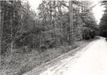 5100-02 Comp 98 P Burn Needed - Davy Crockett National Forest 1978