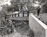 7100-8240 Brittain Creek Bridge - Sabine National Forest 1965