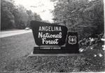 5600-T64-378 Entrance Angelina Admin - Angelina National Forest 1937