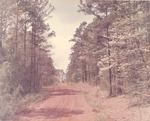 7100-10742 Dogwoods FS Road 87B - Sabine National Forest 1969 by United States Forest Service