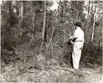 5100-1664 Pburn Yaupon Brush Fired - Sam Houston National Forest 1952