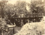 7100-372302 Three Span Bridge San Jacinto River - Sam Houston National Forest 1938 by United States Forest Service
