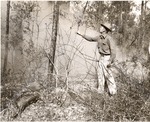 5100-1666 Yaupon Brush After Pburn - Sam Houston National Forest 1952 by United States Forest Service