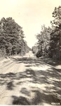 7100-406506 TT102 Erosion Control - Sabine National Forest 1940 by United States Forest Service