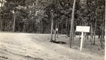 7100-406514 entrance Tenaha Guard - Sabine National Forest 1940