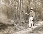 5100-1669 Inspect After Fire Yaupon Brush - Sam Houston National Forest 1952