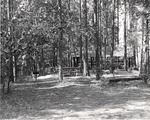 5600-T68-2 Shelter Letney - Angelina National Forest 1967