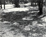 5600-T68-16 Underground Garbage Containers Letney - Angelina National Forest 1967 by United States Forest Service