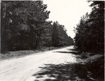 7100 T64-5 FS Road 511 trash Disposal - Davy Crockett National Forest 1964