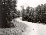 7100 T64-22 Forest Service Road