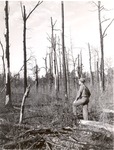 5100-1676 Wildfire Heavy Damage - Sam Houston National Forest 1952 by United States Forest Service