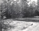5600-T68-25 Parking Lot Caney Creek - Angelina National Forest 1967 by United States Forest Service