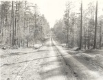 7100 T64-389 Access Rd Yellowpine - Sabine National Forest 1960