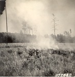 5100-372442 Fire - Angelina National Forest 1938