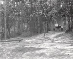 5600 T68-31 Camping Unit Letney - Angelina National Forest 1967 by United States Forest Service