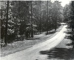 7100 T68-15 Interior Road Letney Rec - Angelina National Forest 1967