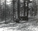 5600 T68-32 Camping Unit Letney - Angelina National Forest 1967
