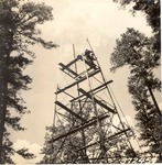 5100-372457 Portable Fire Tower Torn Down - Davy Crockett National Forest 1938 by United States Forest Service