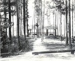 5600 T68-33 Shelter Letney - Angelina National Forest 1967 by United States Forest Service