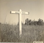 5100-372436 Spiked Tree Direction Sign - Angelina National Forest 1938