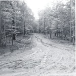 7100 T68-98 Coleman Road Townsend - Angelina National Forest 1968