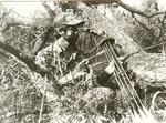 2351.3-03 Ippolito Bow Hunting - Davy Crockett National Forest