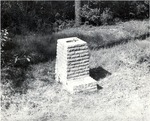 5600 T68-36 Standard Drinking Fountain Letney - Angelina National Forest 1967